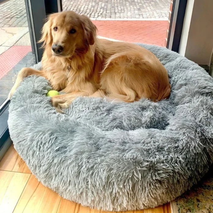 large soft dog bed