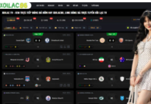 The Global Impact Of Digital Media On Football Passion